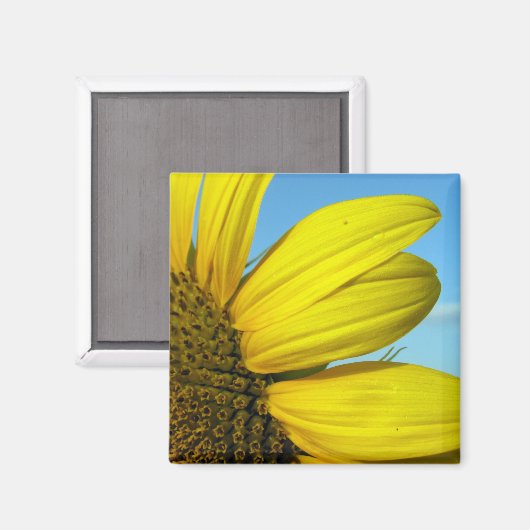Zonnebloem Magneet (Voorkant / Achterkant)