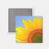 Zonnebloem Magneet (Voorkant / Achterkant)