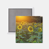 Zonnebloem Magneet (Voorkant / Achterkant)