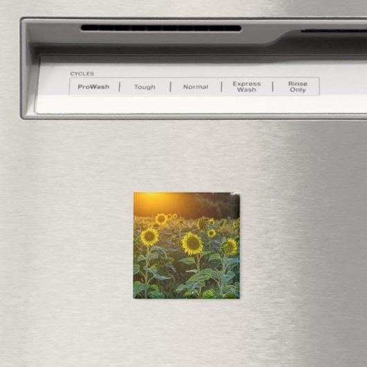 Zonnebloem Magneet (Insitu (Vaatwasser))