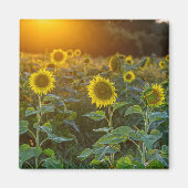 Zonnebloem Magneet (Voorkant)