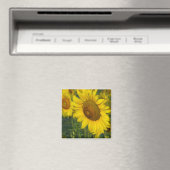 Zonnebloem Magneet (Insitu (Vaatwasser))