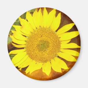 Zonnebloem Magneet
