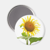Zonnebloem Magneet (Voorkant / Achterkant)