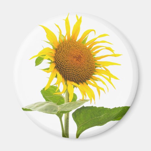 Zonnebloem Magneet (Voorkant)