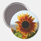 Zonnebloem Magneet (Voorkant / Achterkant)