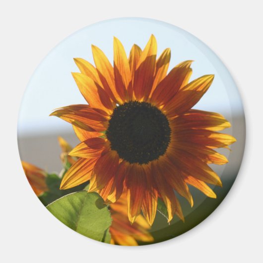 Zonnebloem Magneet (Voorkant)