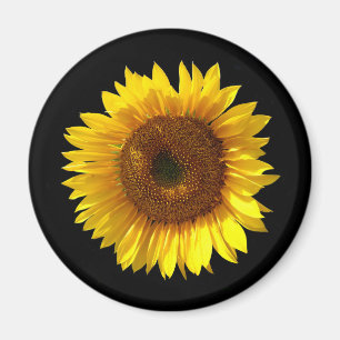 Zonnebloem Magnet