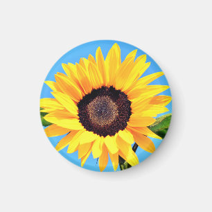 Zonnebloem Magnet
