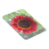 Zonnebloem Magnet Magneet (Rechterzijde)