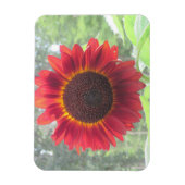 Zonnebloem Magnet Magneet (Verticaal)