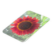 Zonnebloem Magnet Magneet (Linkerzijde)