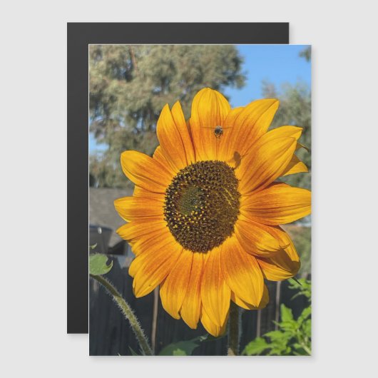 Zonnebloem Magnetische Kaart (Voorkant / Achterkant)