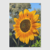 Zonnebloem Magnetische Kaart (Voorkant)