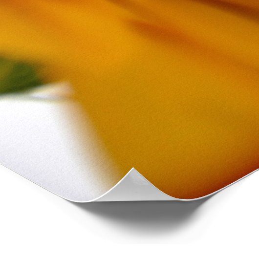 Zonnebloem met bericht poster (Hoek)