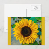 Zonnebloem met Bij Briefkaart (Voorkant / Achterkant)