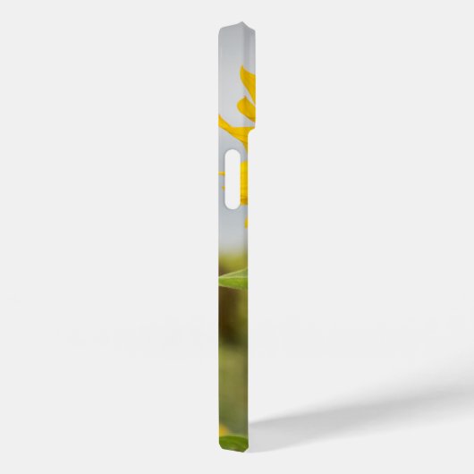Zonnebloem met bij iPhone 14 hoesje (Achterkant / Rechts)