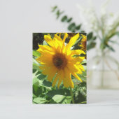 Zonnebloem met bijen briefkaart (Staand voorkant)