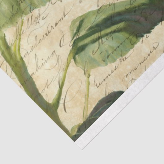 Zonnebloem met bijen Manuscript Ephemera  Ontkoppe Tissuepapier (Detail)