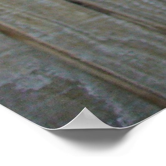 Zonnebloem met bijen poster (Hoek)