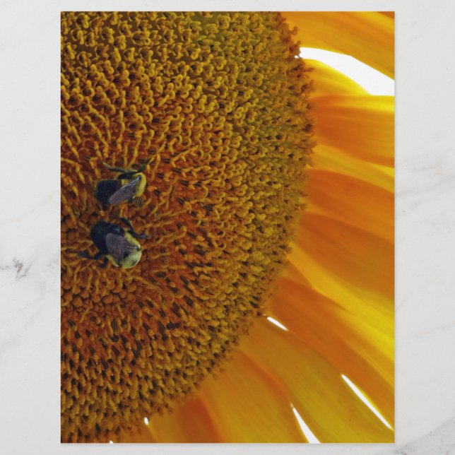 Zonnebloem met bloemen (Voorkant)