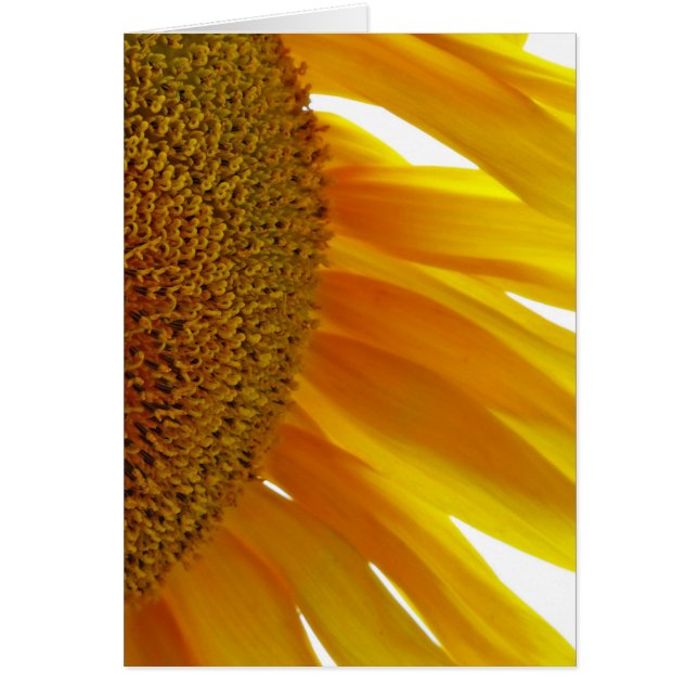 Zonnebloem met bloemen (Voorkant)