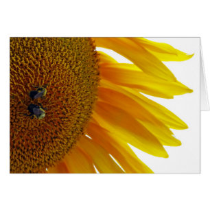 Zonnebloem met bloemen