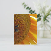 Zonnebloem met bloemen briefkaart (Staand voorkant)