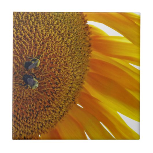 Zonnebloem met bloemen tegeltje (Voorkant)