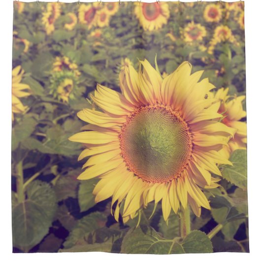 Zonnebloem met filter-effect retro- styleag douchegordijn (Voorkant)
