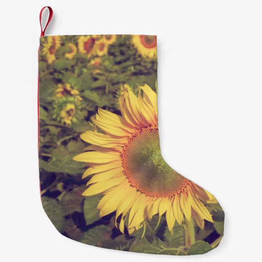 Zonnebloem met filter-effect retro- styleag kleine kerstsok (Voorkant)