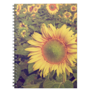 Zonnebloem met filter-effect retro- styleag notitieboek