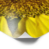 zonnebloem met hommel foto afdruk (Hoek)