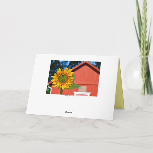 Zonnebloem met Honeybee Kaart (Achterkant)