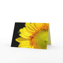 Zonnebloem met Honeybee