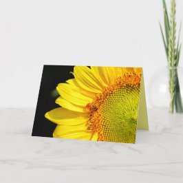 Zonnebloem met Honeybee Kaart