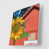 Zonnebloem met rode schuur vierkante klok (Hoek)