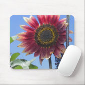 Zonnebloem met unieke rode bladeren muismat (Met muis)