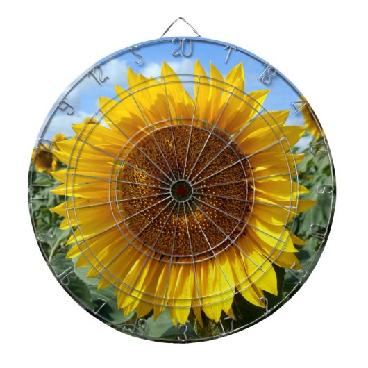 Zonnebloem Metalen Kooi Dartboard Dartbord (Voorkant)