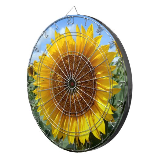 Zonnebloem Metalen Kooi Dartboard Dartbord (Voorkant Rechts)