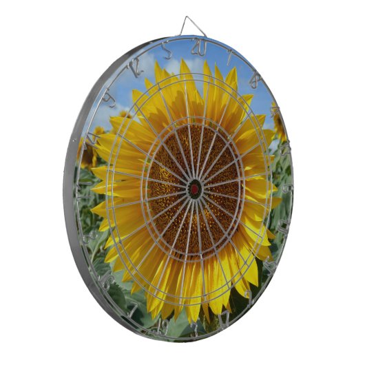 Zonnebloem Metalen Kooi Dartboard Dartbord (Voorkant Links)