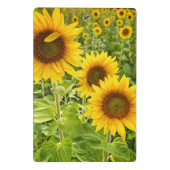 "Zonnebloem" Mini Klembord (Achterkant)