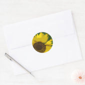 Zonnebloem mooie, heldere, gele bloem ronde sticker (Envelop)