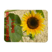 Zonnebloem N Stucco Fridge Magnet Magneet (Horizontaal)