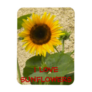 Zonnebloem N Stucco Fridge Magnet Magneet