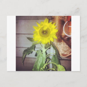 Zonnebloem negen in de middag briefkaart
