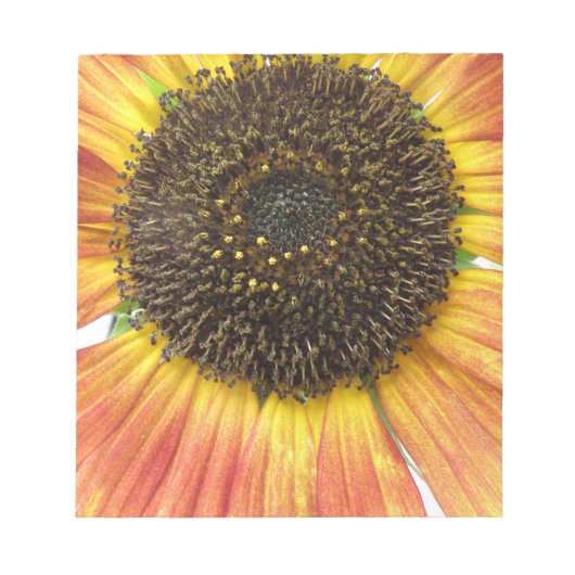 Zonnebloem Notitieblok Oranje (Voorkant)