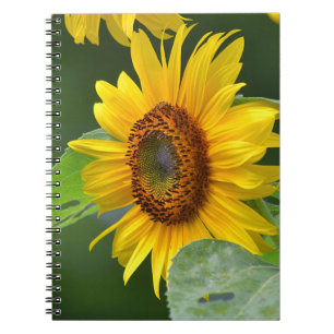 Zonnebloem Notitieboek