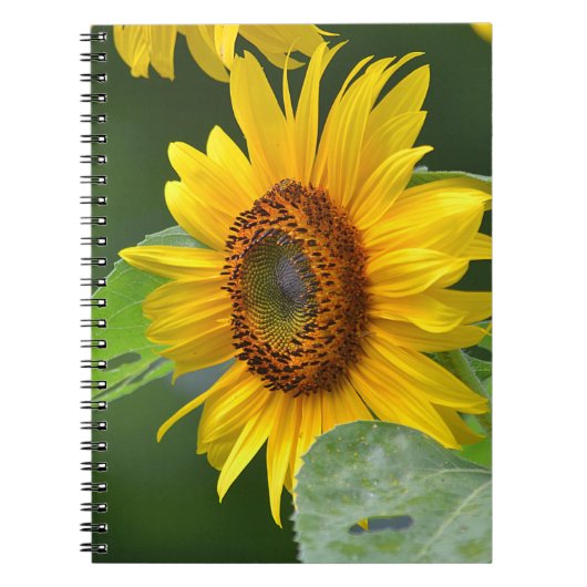 Zonnebloem Notitieboek (Voorkant)