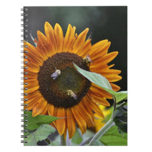 Zonnebloem Notitieboek